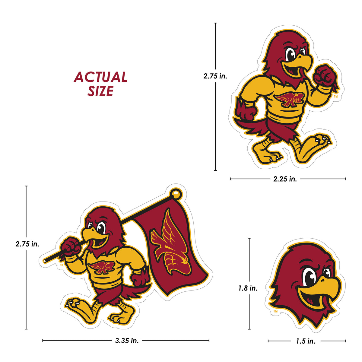 Ankeny Hawks Mega Fan Value BUNDLE